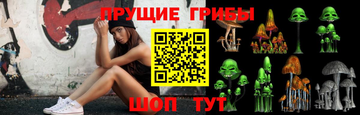 Пенза  Псилоцибиновые грибы Magic Shrooms  что такое   Вход с VPN 
